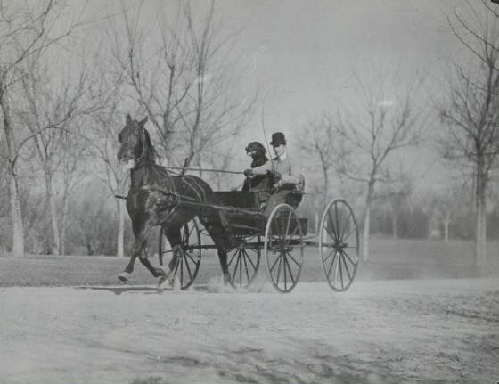 GpaHorseBuggy.jpg