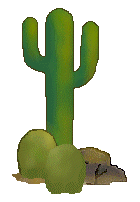 CactusFrmWebclipartAboutComLB.gif