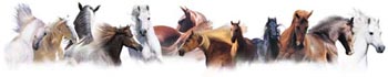 HorsesLineFrmSilverMoonGraphics.jpg